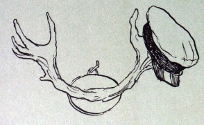 Контора «прозападников» умерла